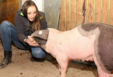 "Fleisch vom Eichelschwein kommt gut an: Junge Metzgerin mit besonderem Projekt"